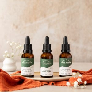 Huile de diffusion parfumée Maison Huchepie
